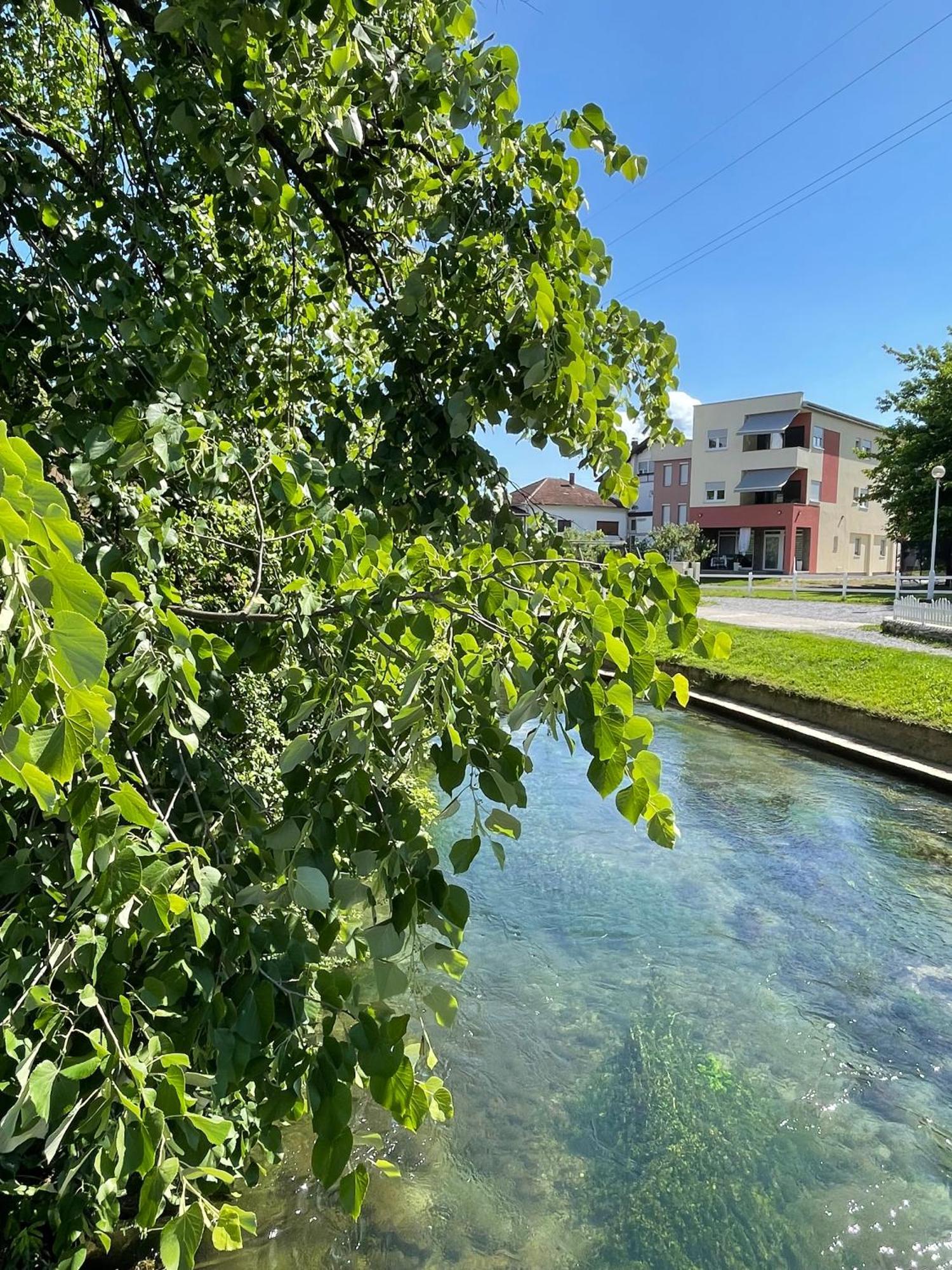 Apartment Vila Tara Bihać Екстериор снимка